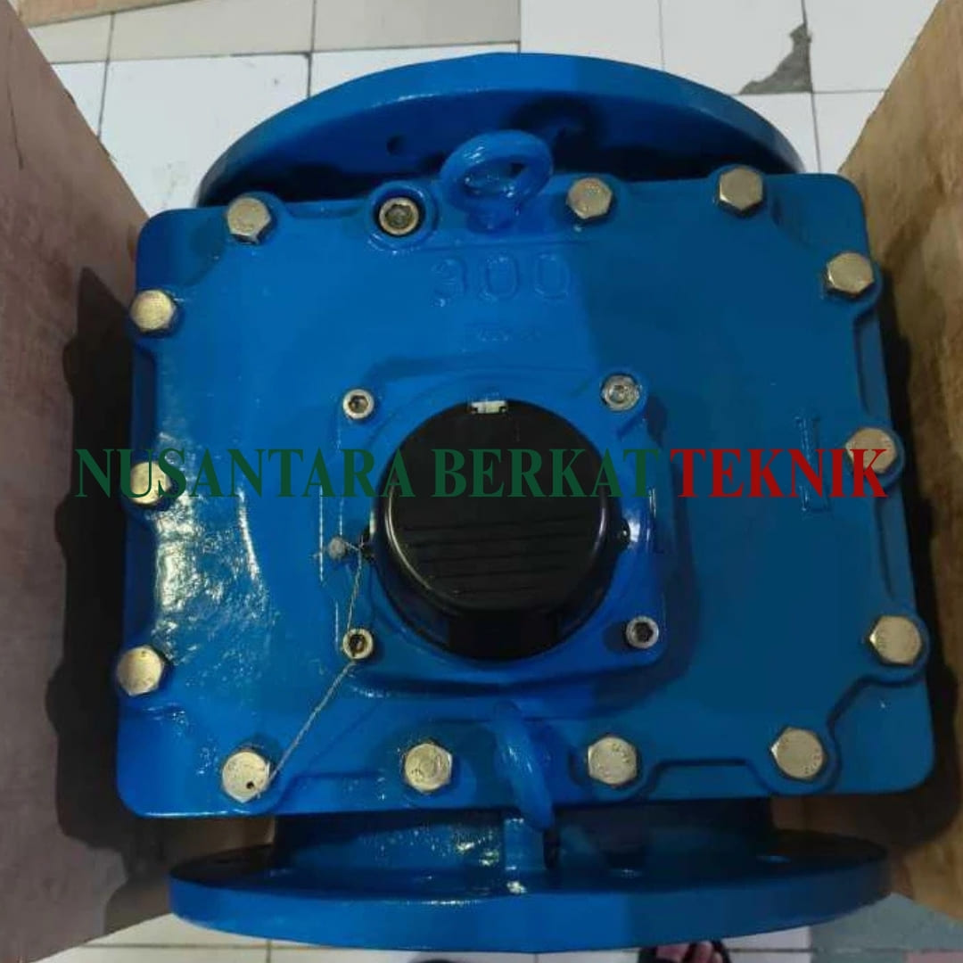 Water Meter Itron Size 12 Inch