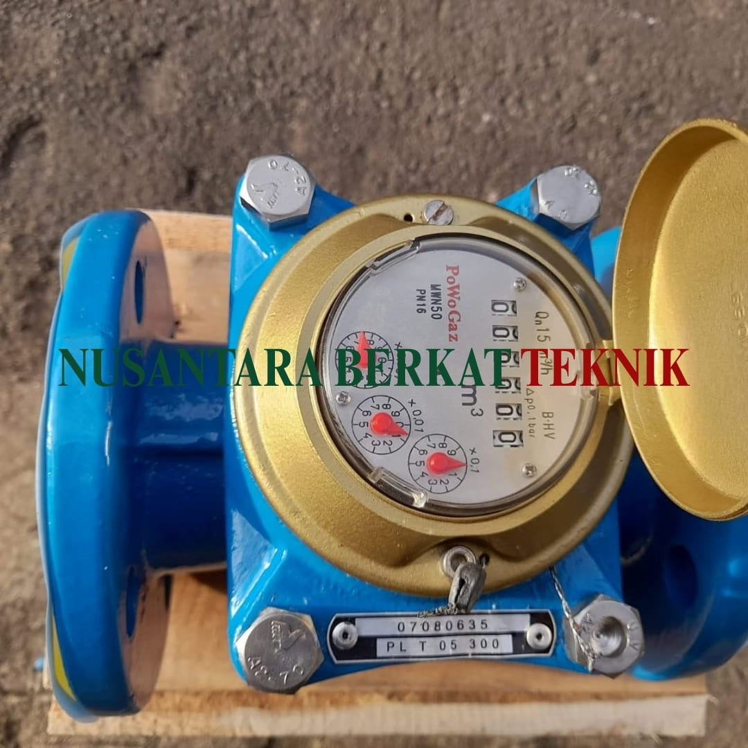 Water Meter Powogaz Cold Water Size 2 Inch