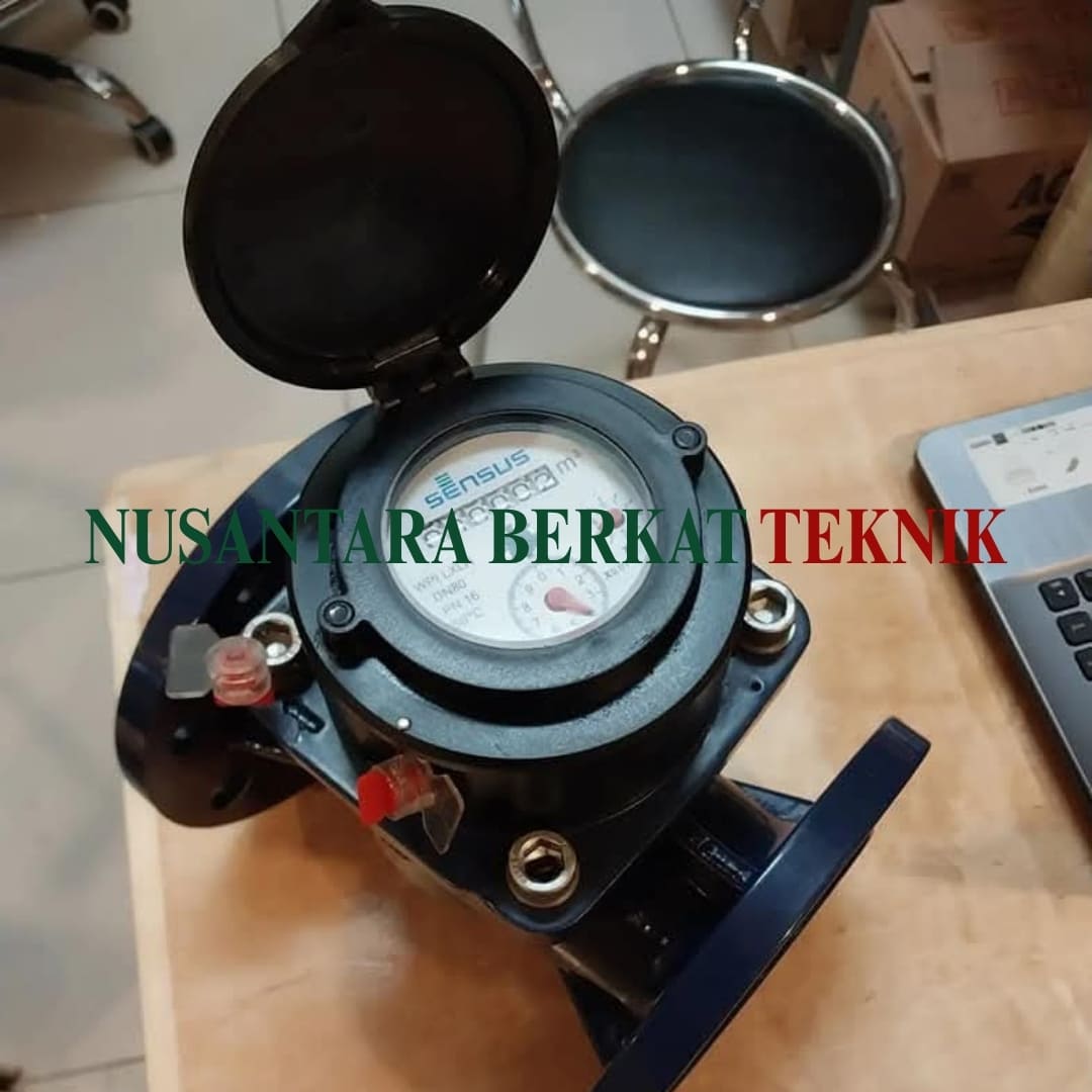 Water Meter Sensus Meistream Size 2 Inch